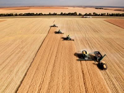 Soja - Crédito Shutterstock