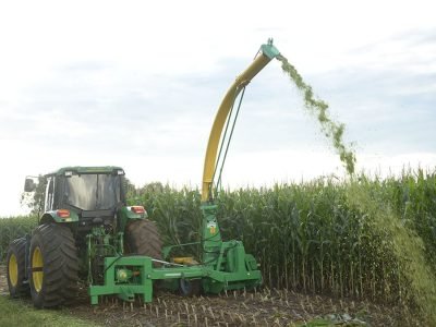 Silagem - Crédito Cristiano Borges