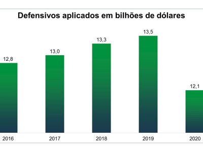 Gráfico - SINDIVEG