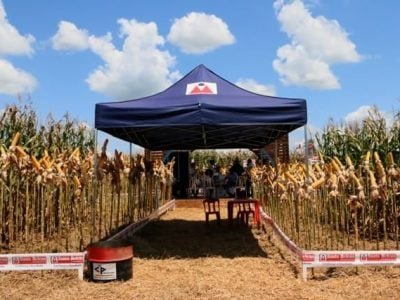 Santa Helena - Crédito Divulgação