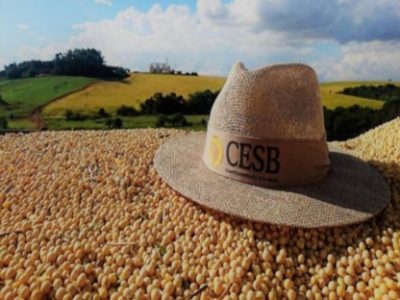 Screenshot_20240402_092651_Gmail (Telefone)