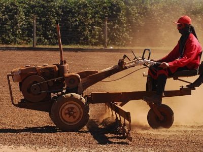 Secagem-de-café-em-terreiro-23-Crédito-Marcelo-André-03-2010