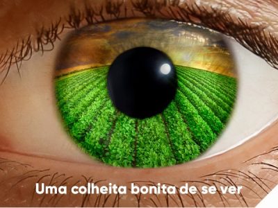 Sem-título-2