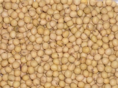 Crédito Marcos Paulo