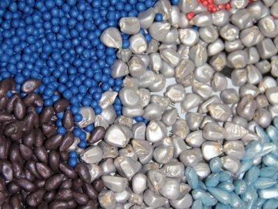 Sementes-151-Crédito-Ana-Maria-Diniz