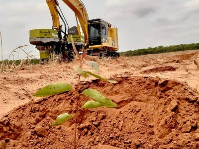 Silvicultura-mecanizada - 4-