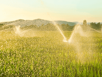 Sistema de irrigação: tendências e tecnologias para o mercado