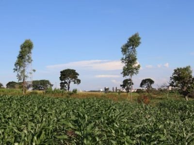 Sistemas integrados - Foto Mila Cristian - Ascom EPAMIG (Pequeno)