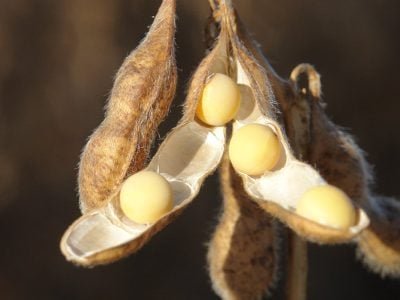 FMC leva Projeto FMC Soja no Congresso ANDAV