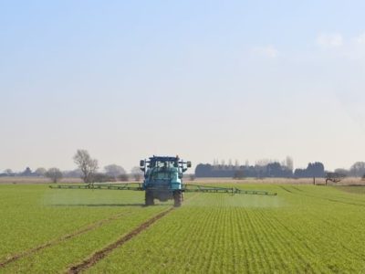 Crédito Shutterstock