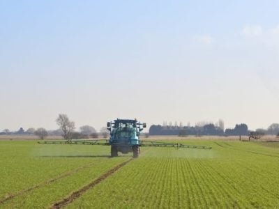 Crédito Shutterstock