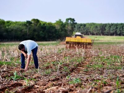 Plantio de Soja - Foto: Divulgação