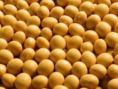 Crédito Fernando Gomes