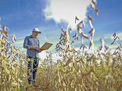 Soja - Crédito: CNA