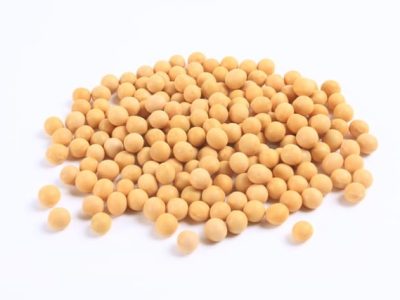 Soja - Crédito Divulgação