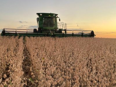 Soja-Crédito-Paulo-Pires-Divulgação-1