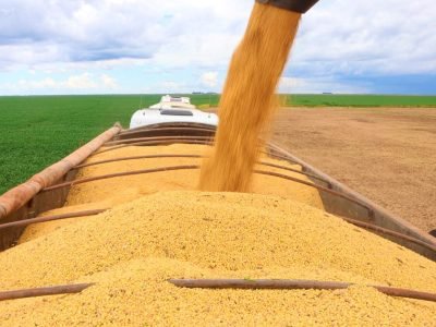 Plantação de soja na Bahia