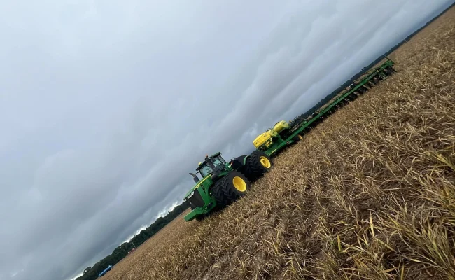 Plantação do grupo Gente que Produz e Preserva