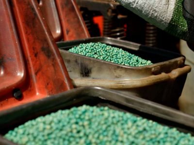 Soja tratada - Crédito: Pedro Buso