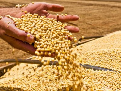 Soja_Banco_Agro3