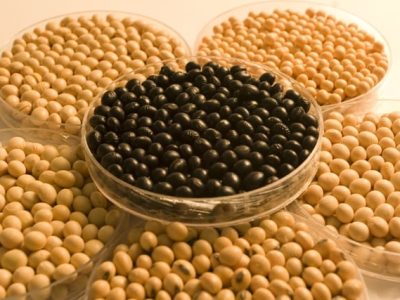 Atento ao potencial de produtividade da soja do Brasil, o Comitê Estratégico Soja Brasil (CESB) projeta que mais de 10% da área de soja plantada no Brasil adotem algumas recomendações sugeridas pela entidade para alcançar de 67 a 90 sacas/ha até 2020 -  Crédito Fernando Gomes