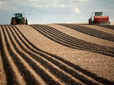 Solo - Crédito: Shutterstock