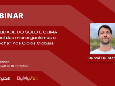 Streamyard-4o-Webinar1