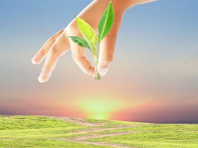 Sustentabilidade - Crédito: Shutterstock