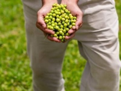 TUIUVA-FEVEREIRO-2025-47 (Telefone)