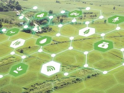 Tecnologia - Crédito: Shutterstock