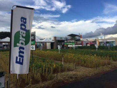 Tecnoshow_llandgraf-2