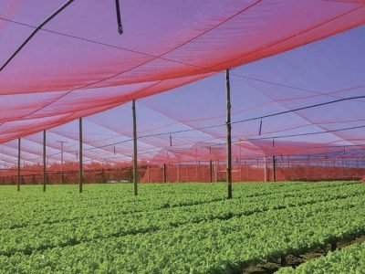 Tela - Foto: Ginegar do Brasil