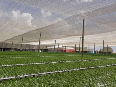 Tela - Foto: Ginegar do Brasil