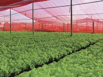 Tela - Fotos: Ginegar do Brasil