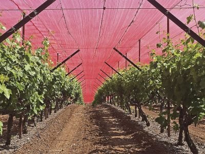 Telas - Crédito: Ginegar do Brasil