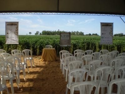 Tenda do CESB -Produtividade da Soja
