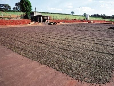 Terreiro pavimentado