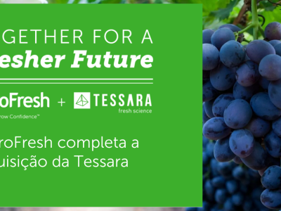 Tessara Partnership (3)