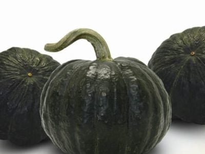 Tetsukabuto Takayma F1 - Topseed Premium
Divulgação Agristar do Brasil