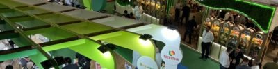 Arquivo / Miriam Lins