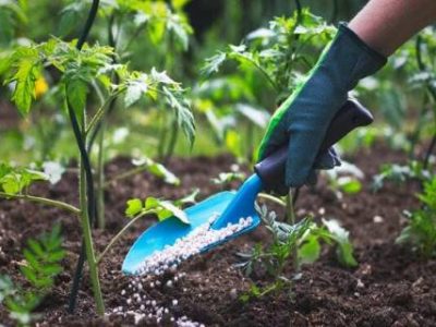 Tipos-de-Fertilizantes (Telefone)