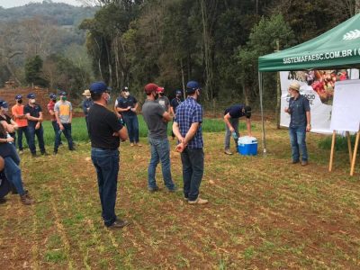 Foram promovidas 4.042 turmas em treinamentos e programas voltados à elevação da produtividade e da qualidade de vida das famílias rurais.