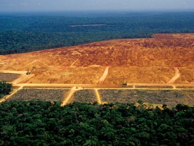 Uma grande área desmatada da floresta Amazônica, na América do Sul. Muitos seres vivos extinguem-se com o corte e queima de árvores