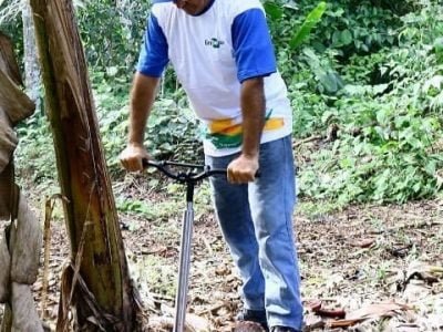 Utilização do Desperfilhador