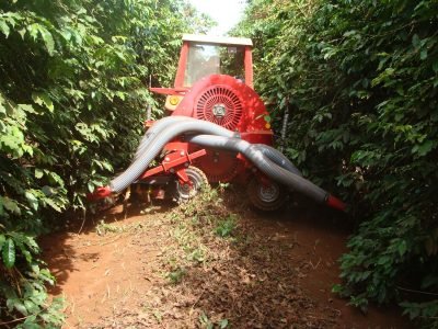 Varrição-mecânica-na-cafeicultura-03-Crédito-Miac