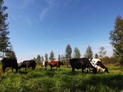 Vencedora-Smart-Farm-AgroBIT-Mapa-Conecta-startup-NBC-Sistemas-Embarcados-01-Divulgacao-1
