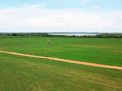 Vista aérea da propriedade do cooperado Antônio Carlos Campos Banhos de Primeiro de Maio
