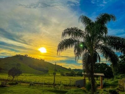 WA0039 - Marcia Ribeiro Toledo (Pequeno)