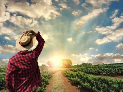 WebDFe-Produtor-rural-saiba-como-aumentar-sua-renda-1600x900-1