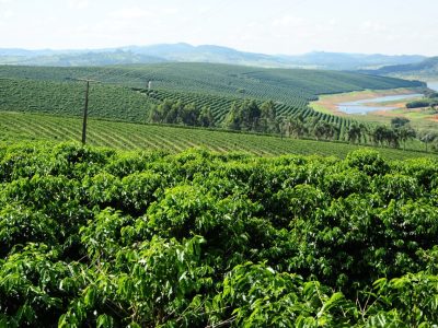 WhatsApp Image 2019-07-08 at 15.38.08